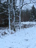 2021-11-27 - Erster Schnee im Solling (5)